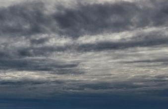 Clos des Loriots - Foto 57