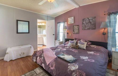 Disney Backyard Oasis - Foto 36