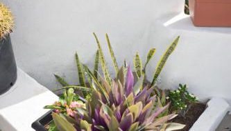 Casa pitita - Foto 4