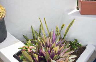 Casa pitita - Foto 4