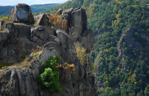 Cozy Garden Retreat Malemort - Foto 32