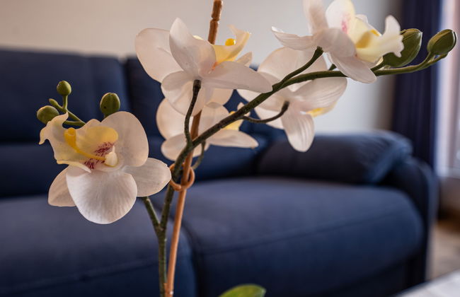 Chesa Corvatsch 111 - Champfer - Foto 15