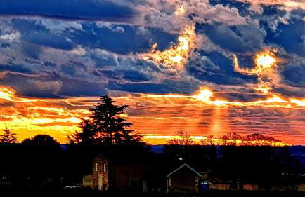 La maison d artiste - Foto 40