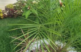 Aconchego da Juju - Foto 21