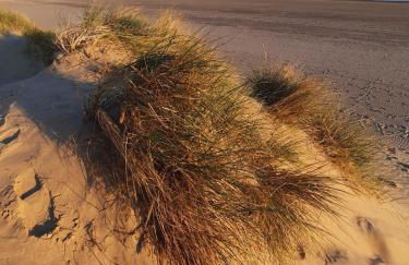 Rūm by the beach - Foto 58