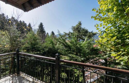 Τα Πέτρινα της Ελάτης - Petrina Elatis - Foto 52