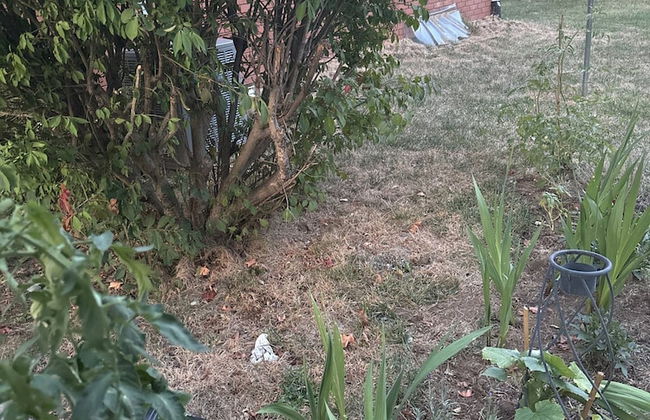 Luxury Modern Stay - 2000 Sqft - Foto 53