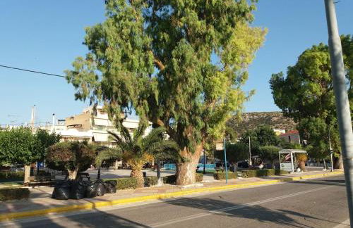 Painter's house by the beach - Foto 19