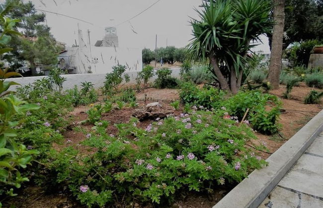 Apartments With Garden View, Creta, Ierapetra - Foto 42