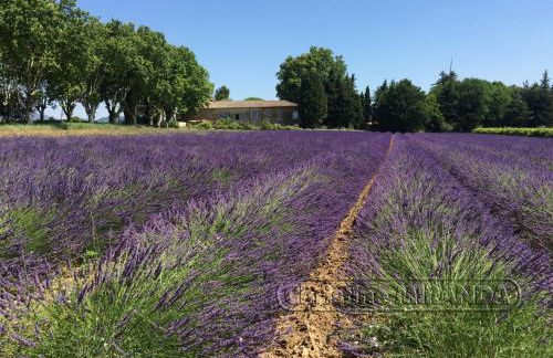 La Chapelle Gite avec piscine chauffee - Foto 27