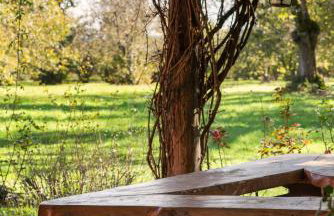 Casale Pomodoro - Foto 31