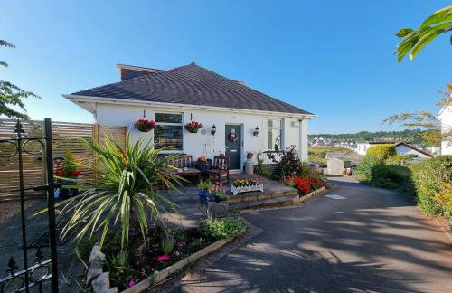 Lovely private studio room with own kitchen and bathroom. Set in the popular area of Shiphay in Torquay and only a short walk from Torbay Hospital - Foto 1