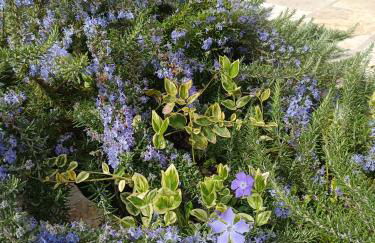 Trulli Lavermicocca - Foto 76