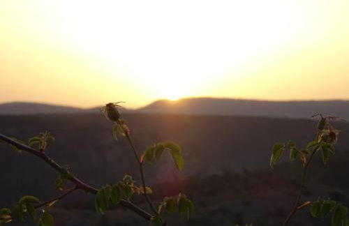 Casa Josefina - Foto 6