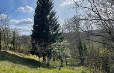 il casale di Bruno e Pina - Foto 6