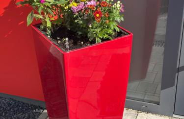 Beautiful Apartment with a huge private terrace - Foto 4