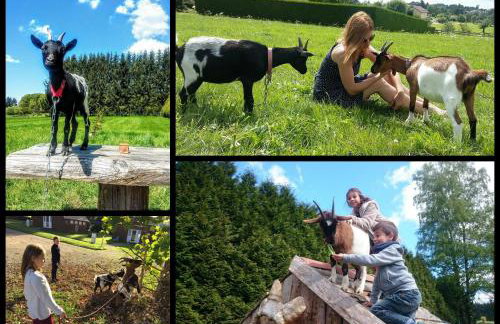 Chalets des Trois Hêtres - Foto 8