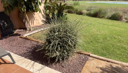 BEL APPARTEMENT REZ De CHAUSSEE AVEC DOUBLE TERRASSE FACE AU LAC ET AU GOLF - Foto 3, Garden view