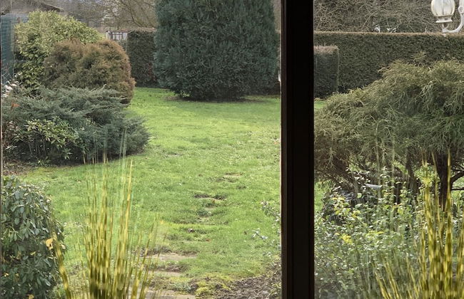 Gästehaus Zur Traube - Foto 9