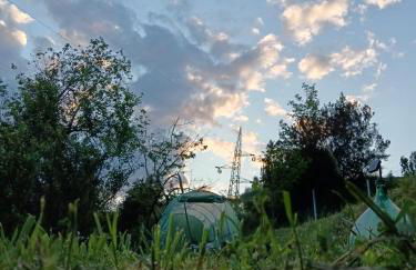 Ilgattonero - Foto 32