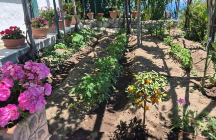 Villa Don Luigi - Foto 17