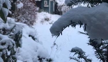 Schönwald Waldchalet am Musenberg - Foto 4