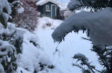 Schönwald Waldchalet am Musenberg - Foto 4