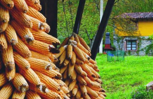La Rotella, calma al lado de Cangas de Onís - Foto 22