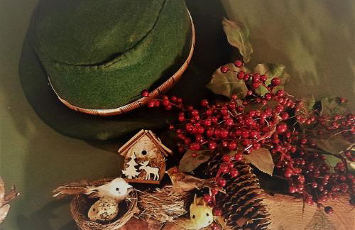 El Refugio de Aran Vielha Aparthotel - Foto 60