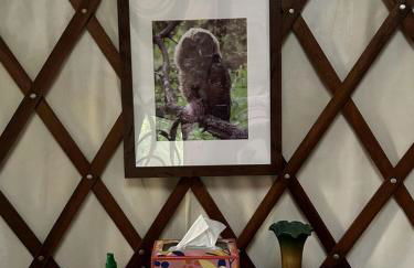 Private Glamping Getaway in the Redwoods near Santa Cruz, California - Foto 57