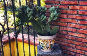 OPUNTIA DELL'ETNA BIKE HOUSE - Foto 35