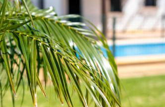 Casas Rurales Pericón - Foto 31