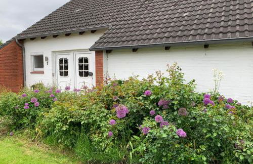 Klein Olversum - Foto 15