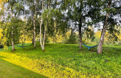 Na Jasieniu - Foto 67