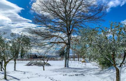 Madeleine: Luxury Villa in Italy - Foto 30