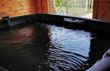 L'Amphithéâtre des Volcans - Vue Puy de Dôme - Foto 26