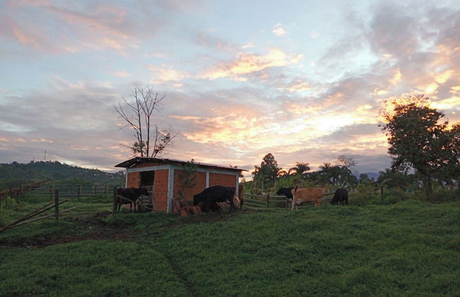 Rancho Ventura - Foto 55