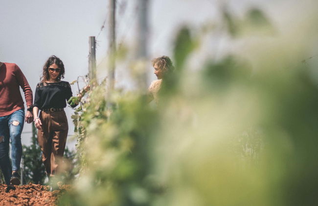 Visita a una cantina di Partinico - Foto 6