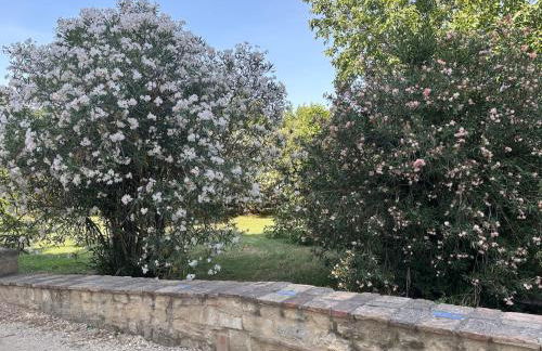 Gite dans ancien moulin - Foto 37