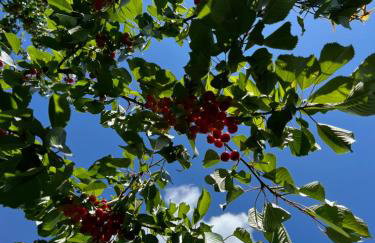 Apartament w XIX-wiecznym Spichlerzu nad Jeziorem z dostępem do parku i widokiem na Dworek Modrzewiowy z 1823 roku - Foto 52