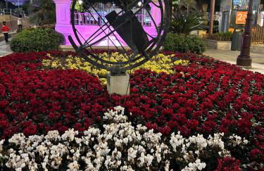 Sonne - Golf - 4Pers - Komfort - Apartments - Foto 76