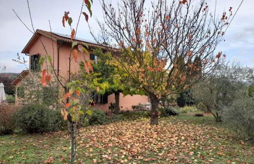 Montepulciano - La Casetta del Pian delle Noci - Foto 57