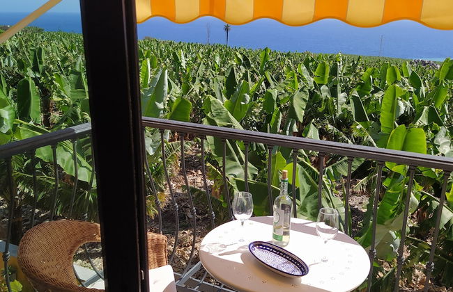 Trébol "trail Mountain La Palma" Vistas Al Mar - Foto 45