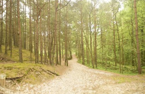 Seaside Villa with Sauna - Foto 32