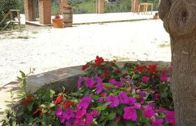 Il Merangolo - Foto 14