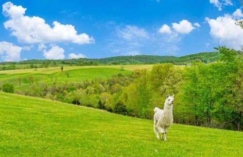 Llama House - Foto 39