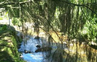 Bangalo a beira do rio em plena natureza - Foto 28
