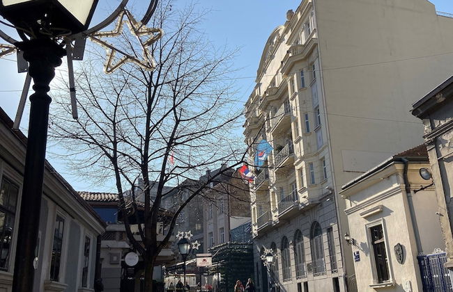 Skadarlija House of the Greats - Photo 37