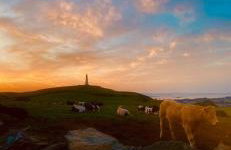 Hardy Hideaway - Foto 36