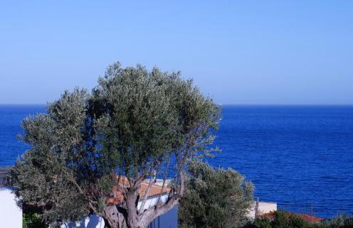 Sterna Suites - Photo 35